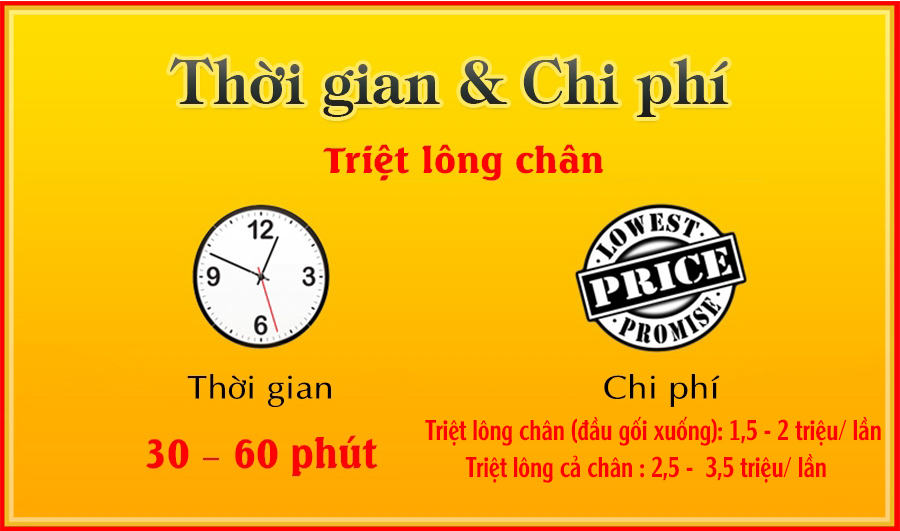 Chi phí các dịch vụ triệt lông vĩnh viễn tại Kangnam như thế nào?