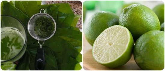 Bí quyết tẩy lông chân bằng lá trầu không hiệu quả cho các nàng