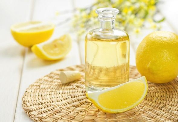 Cách triệt lông trán tại nhà sử dụng nguyên liệu tự nhiên