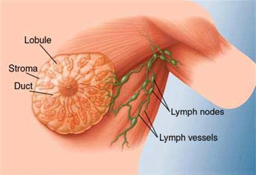 Những điều bạn nên biết khi nhổ lông nách không đúng cách