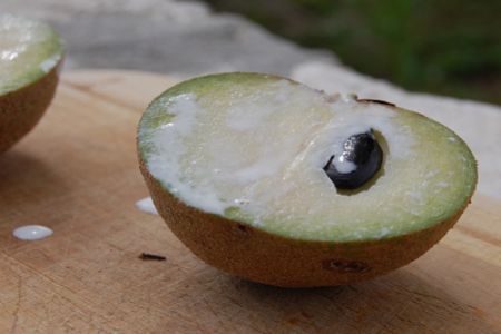 TOP 4 cách dọn dẹp lông nách siêu hiệu quả tại nhà